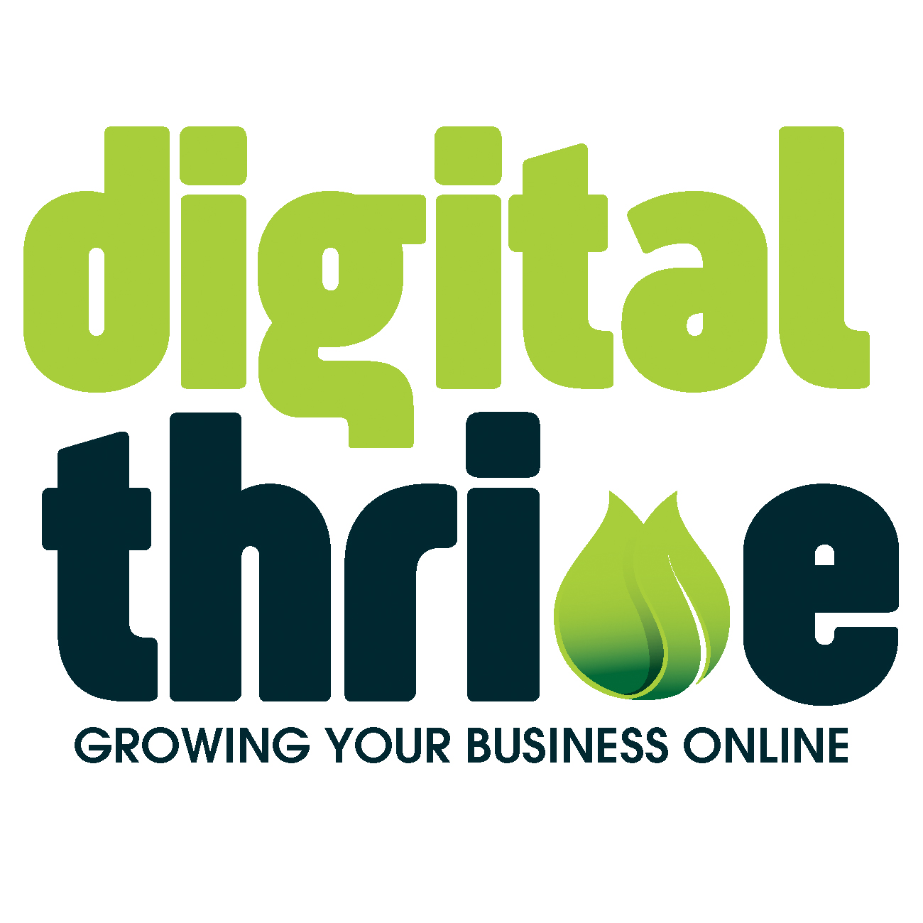 Digital Thrive - Online Marketing Agency