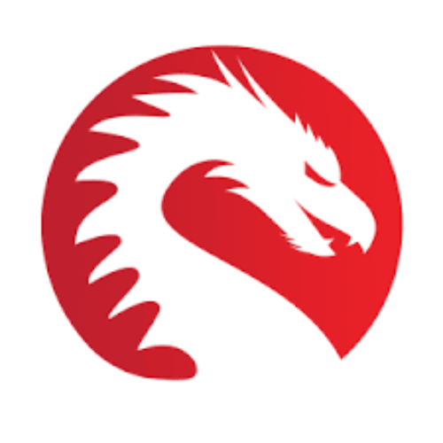Dragon Perks Logo 