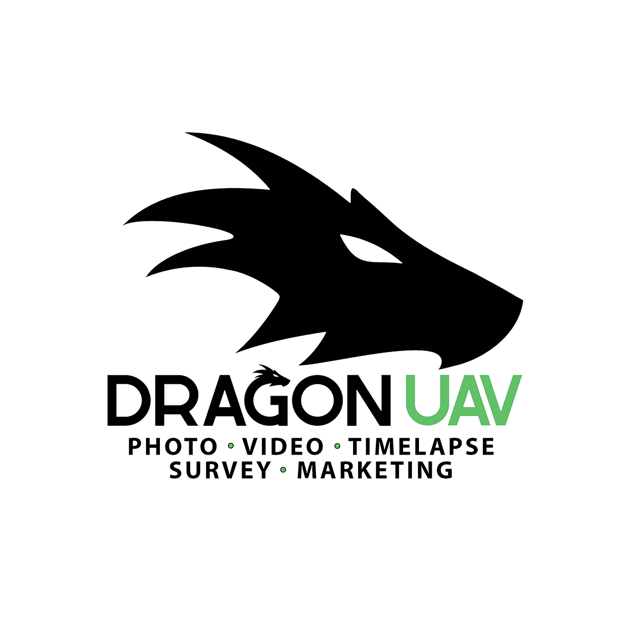 Dragon UAV Company Logo - Dragon Head with text "Photo, Video, timelapse, Survey, Marketing"