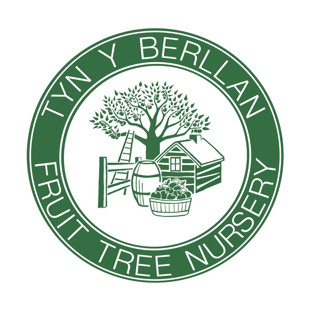 Tyn y Berllan fruit tree nursery logo