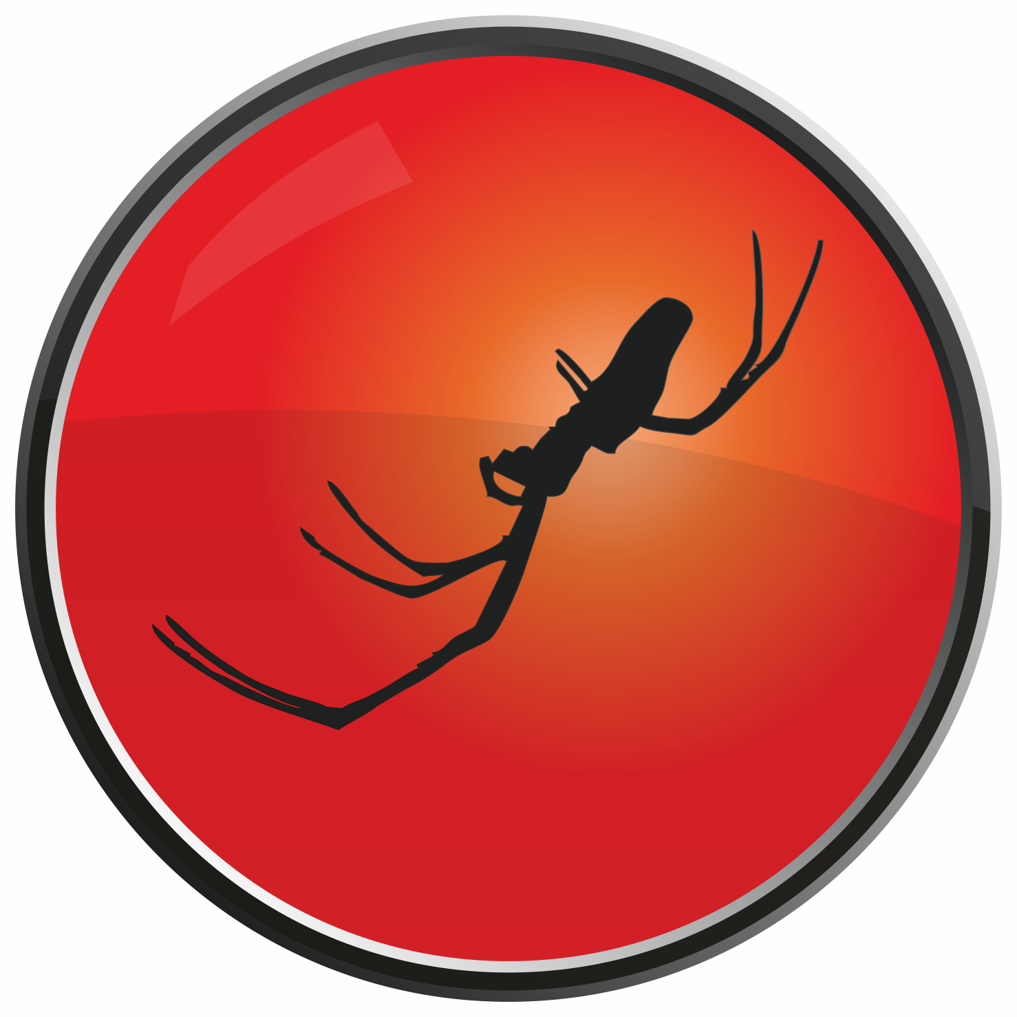 Jamie King Spider and Sun Logo est 2004