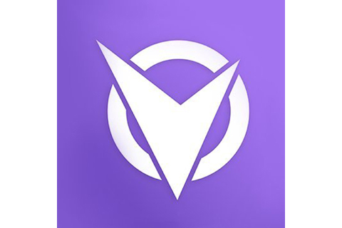 Team Visionary logo
