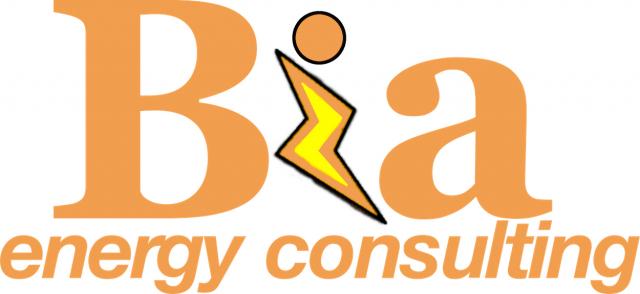 Bia Energy Consulting Limited orange logo