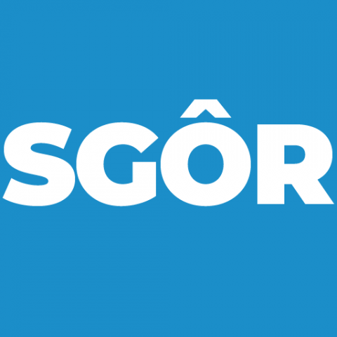Sgor web design Logo