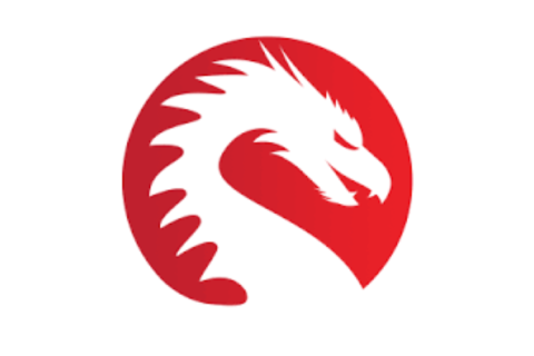 Dragon Perks Logo 