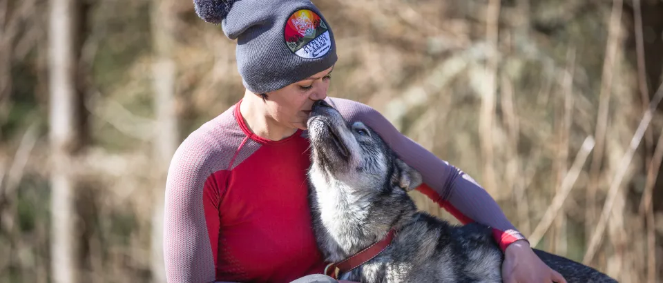 Mynydd Sleddog Adventures Ltd 