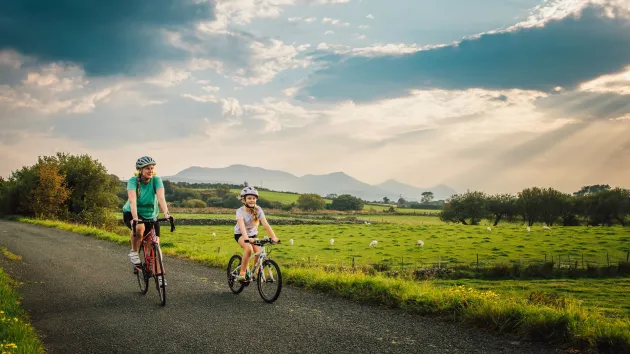 Lon Eifion cycle track 