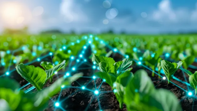 Field of crops connected by a network of glowing lines, symbolizing the use of smart technology in modern agriculture.