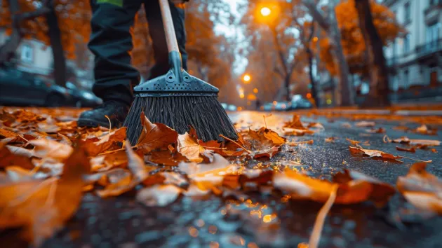 Autumn leaves on a wet road 