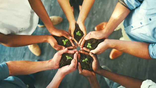 business growth -hands holding soil and seedlings 