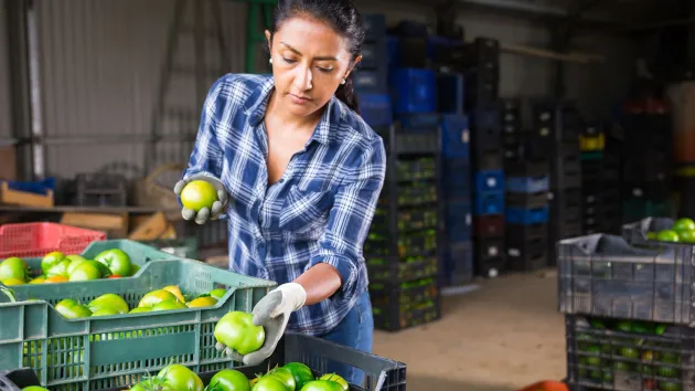 Farm shop worker in Latin america 