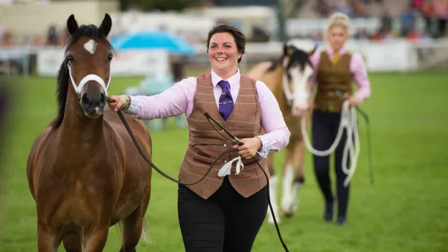 Person showing a horse at the Royal Welsh Show