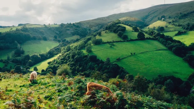 Offa's Dyke path