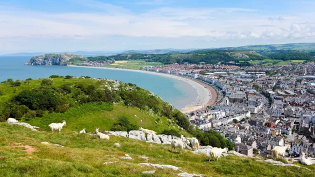 North Wales Event: Navigating Workforce and Skill Challenges