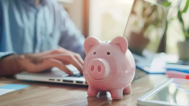 pink piggy bank and person using a laptop 