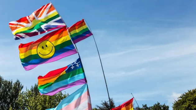 Pride Cymru, Cardiff flags