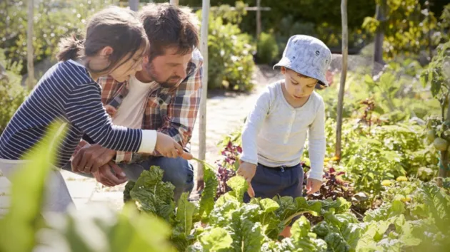 Community garden 