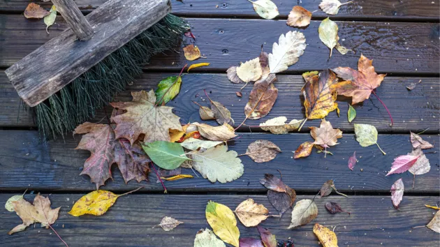 Wet leaves and a brush 