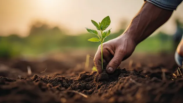 farmer planting seeds