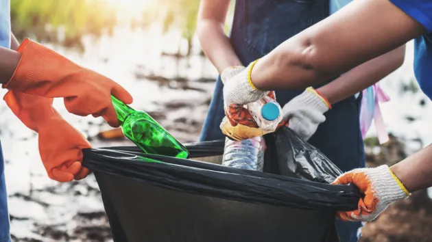 Volunteers collecting rubbish 