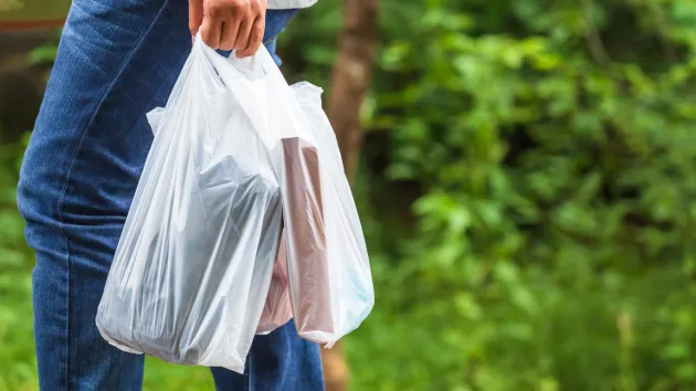person carrying shopping in a plastic bag 