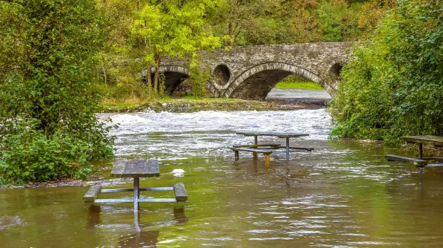 River Teifi, Cardiff