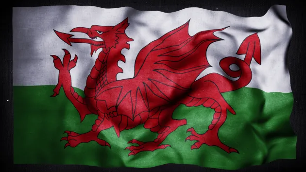 Welsh Flag 