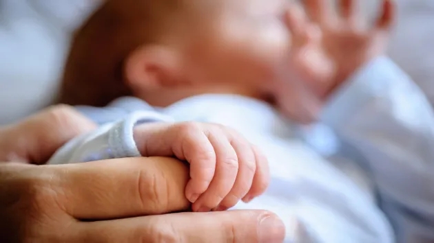 baby and adult hands