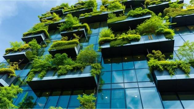 green business - high rise business with living walls - plants 