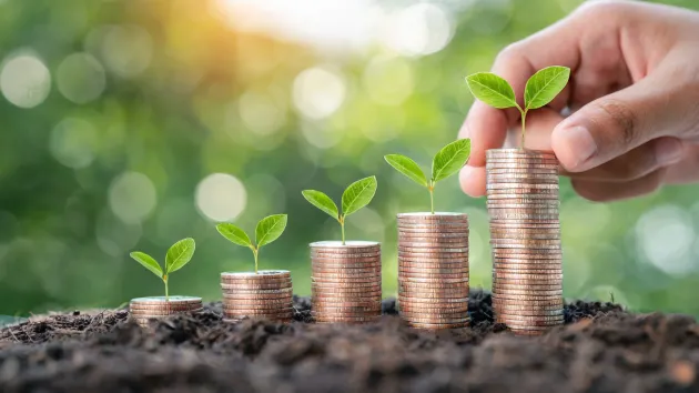 stacks of coins with plant shoots