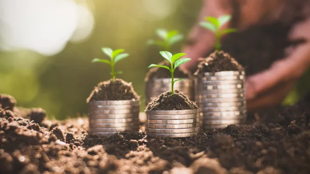 Piles of coins and plant shoots - business growth and investment 
