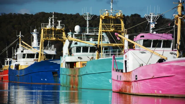 Commercial mussel fishing trawlers in Port Penrhyn in Bangor north Wales