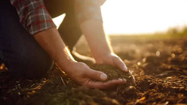 farmer holding soil in their hands