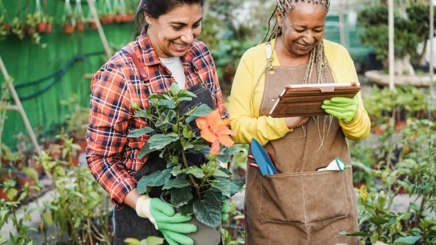 Women working inside greenhouse garden