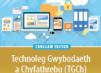 Canllaw i Dechnoleg yn y Sector Technoleg Gwybodaeth a Chyfathrebu (TGCh)