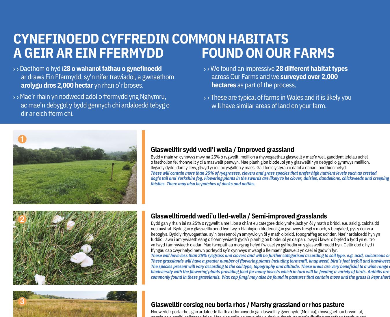 Cynefinoedd Cyffredin A Geir Ar Ein Ffermydd - Common Habitats Found On Our Farms