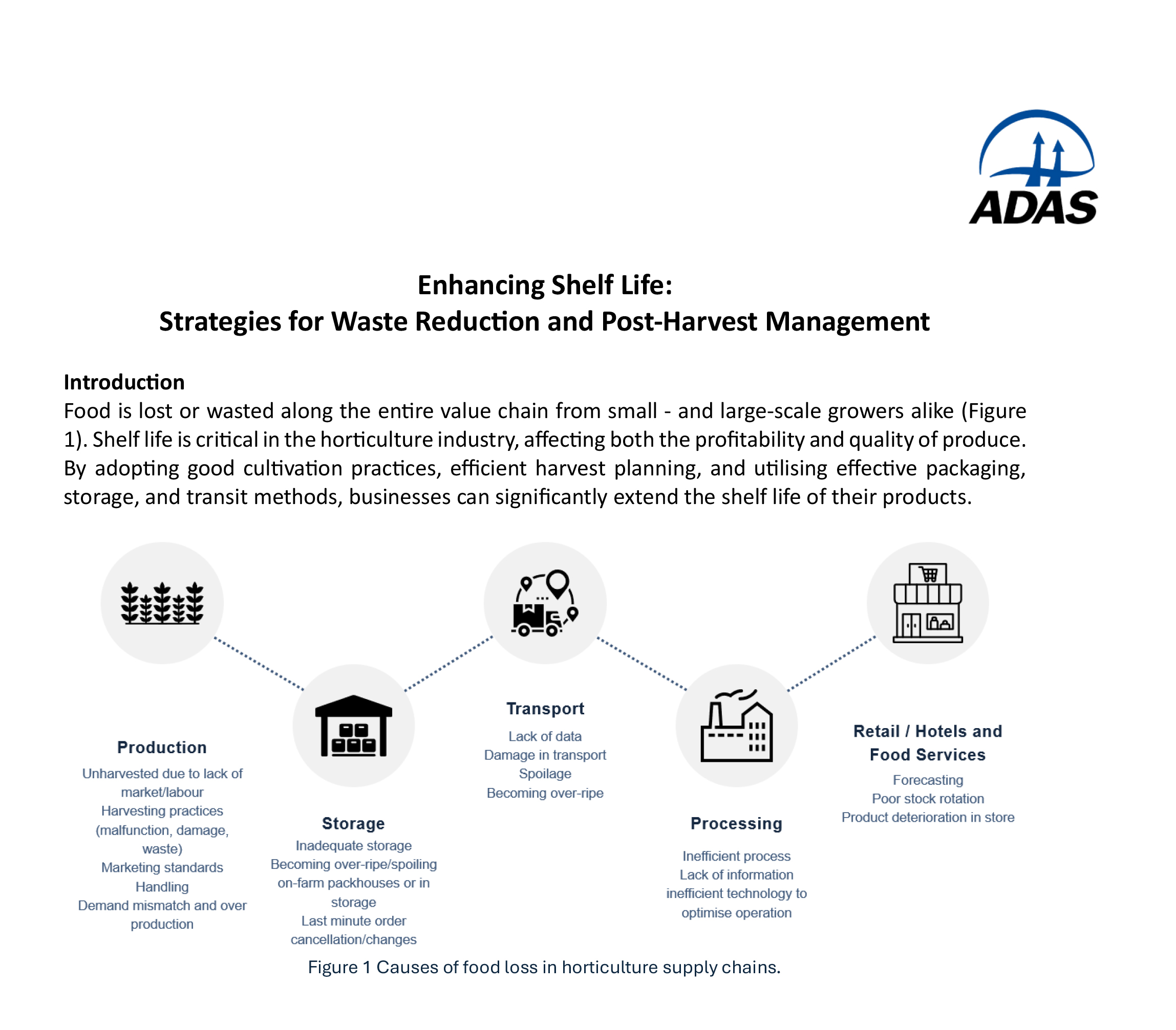 Enhancing Shelf Life: Strategies for Waste Reduction and Post-Harvest Management