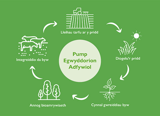 Meddwl Am Ffermio Adfywiol