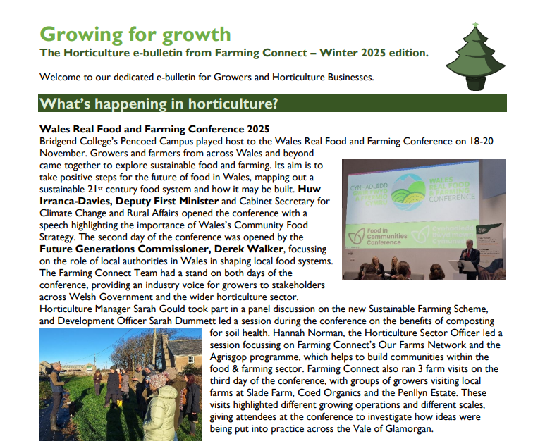 The Horticulture E-bulletin from Farming Connect – Winter 2025 edition