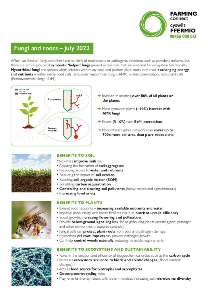 Fungi & Roots Factsheet July 2022