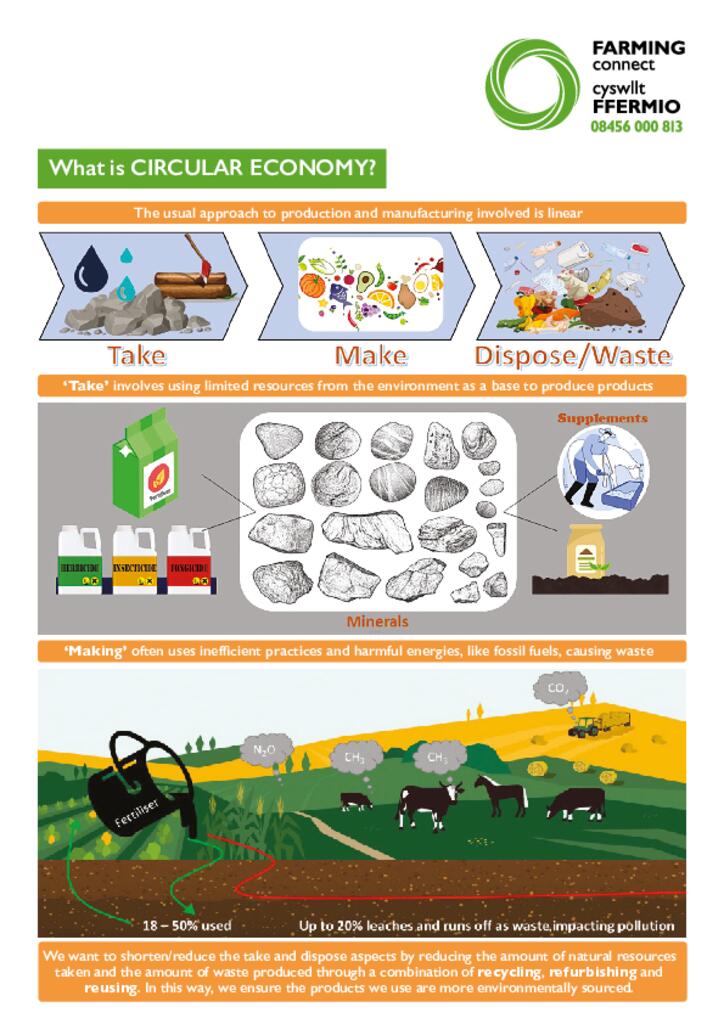 Circular Economy Factsheet