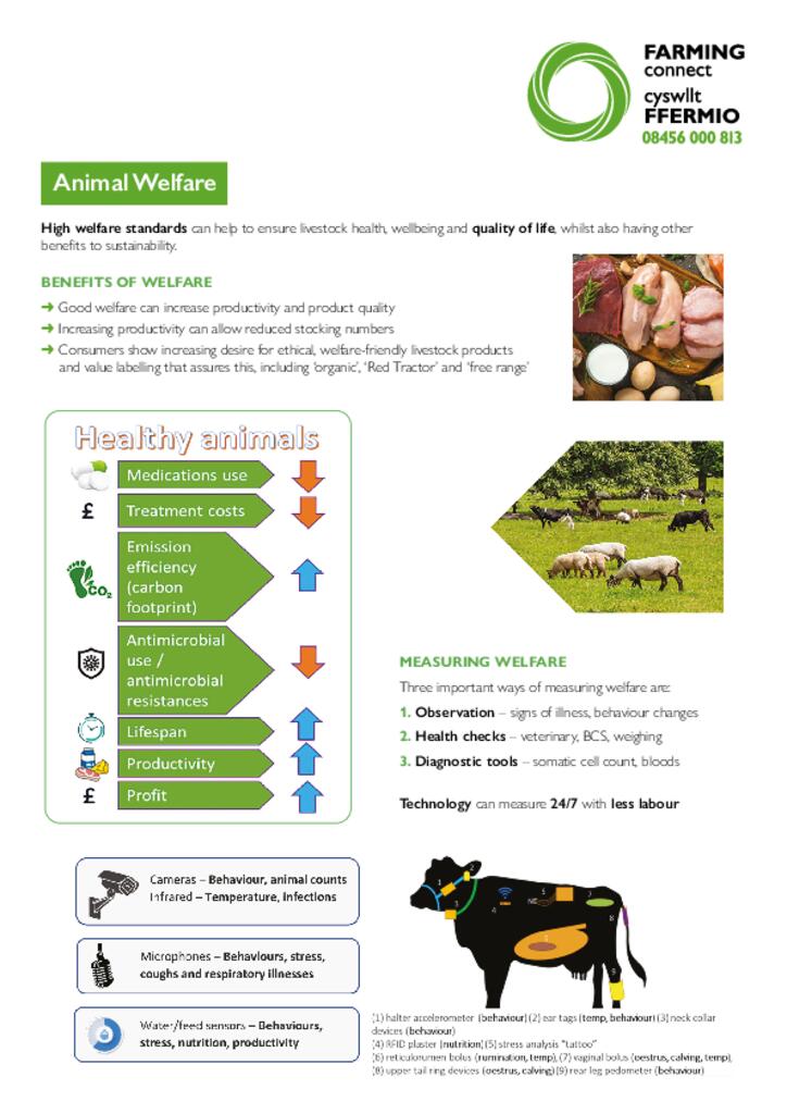 Animal Welfare - 03/01/2023 | Farming Connect