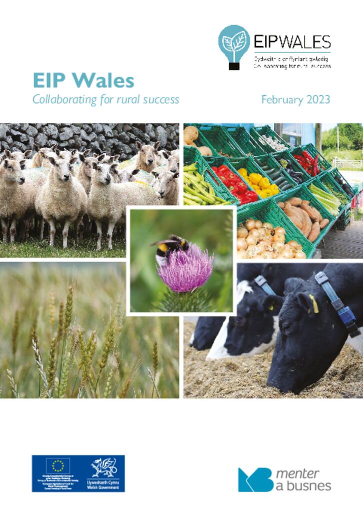 EIP Wales - Collaborating for rural success Feb 23