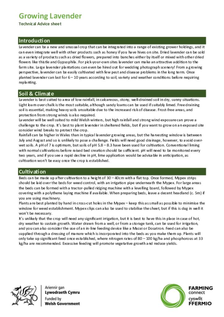 Technical advice sheet- Lavender