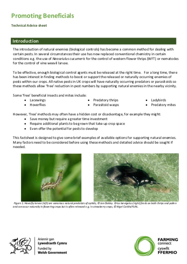 Technical advice sheet - Promoting Beneficials