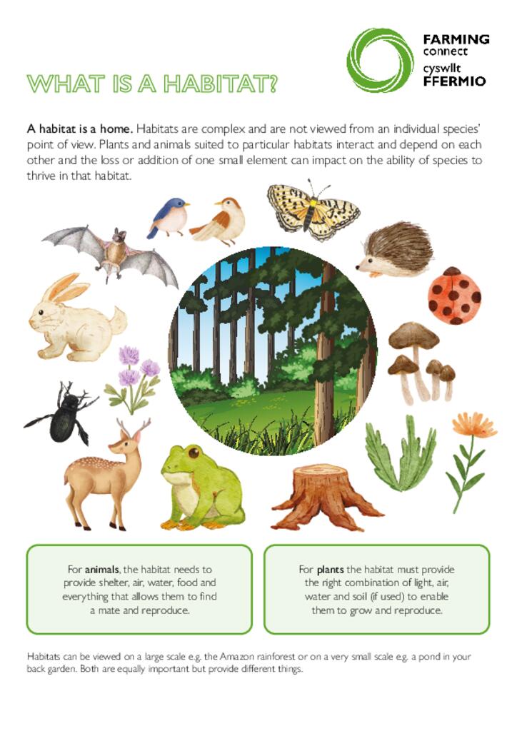What is Habitat?
