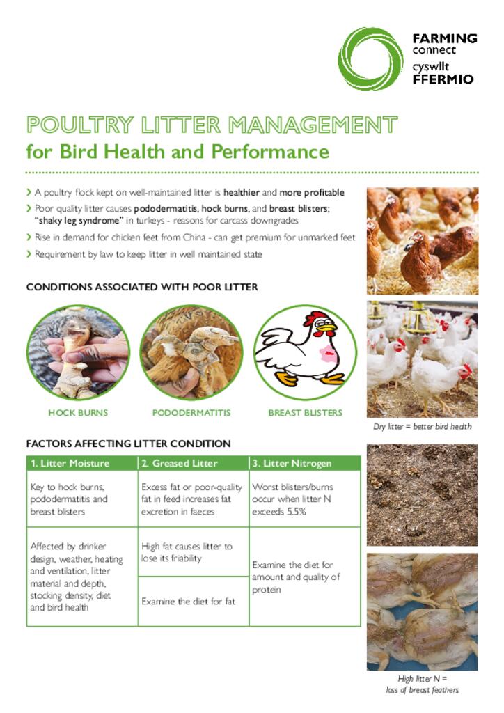  Poultry Litter Management