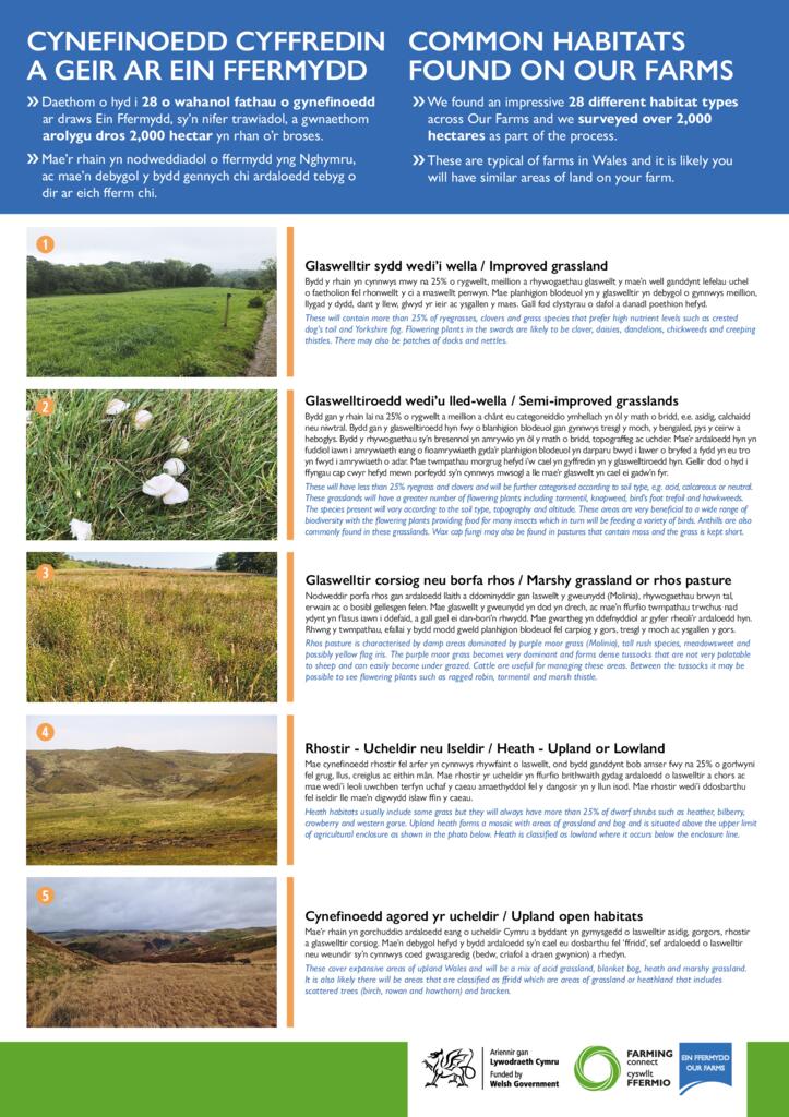 Cynefinoedd Cyffredin A Geir Ar Ein Ffermydd - Common Habitats Found On Our Farms