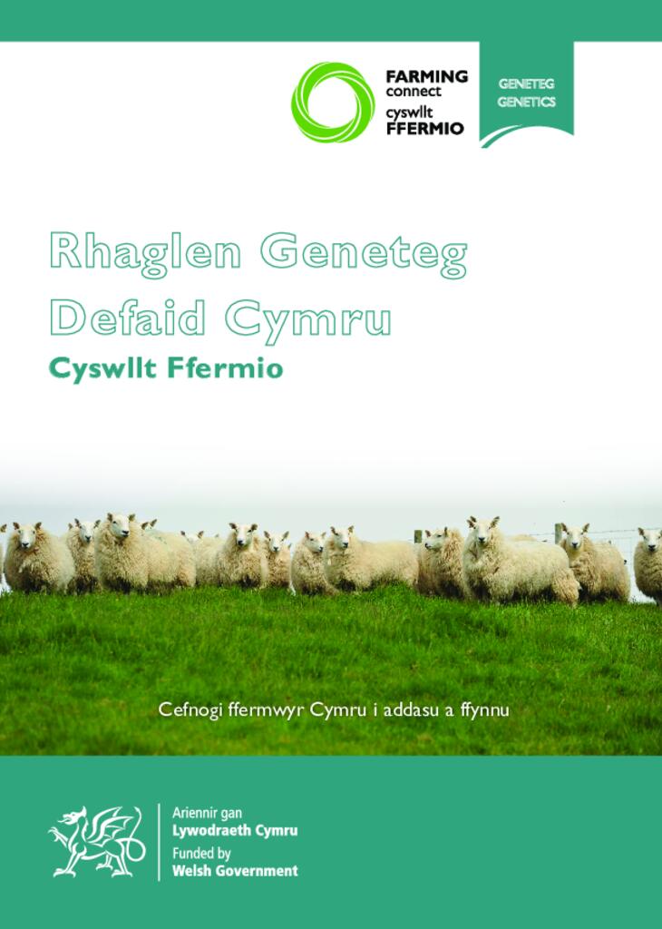 Rhaglen Geneteg Defaid Cymru - Cyswllt Ffermio