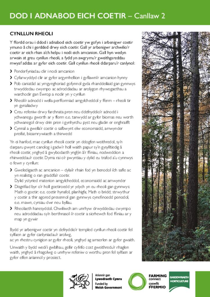 DOD I ADNABOD EICH COETIR – Canllaw 2